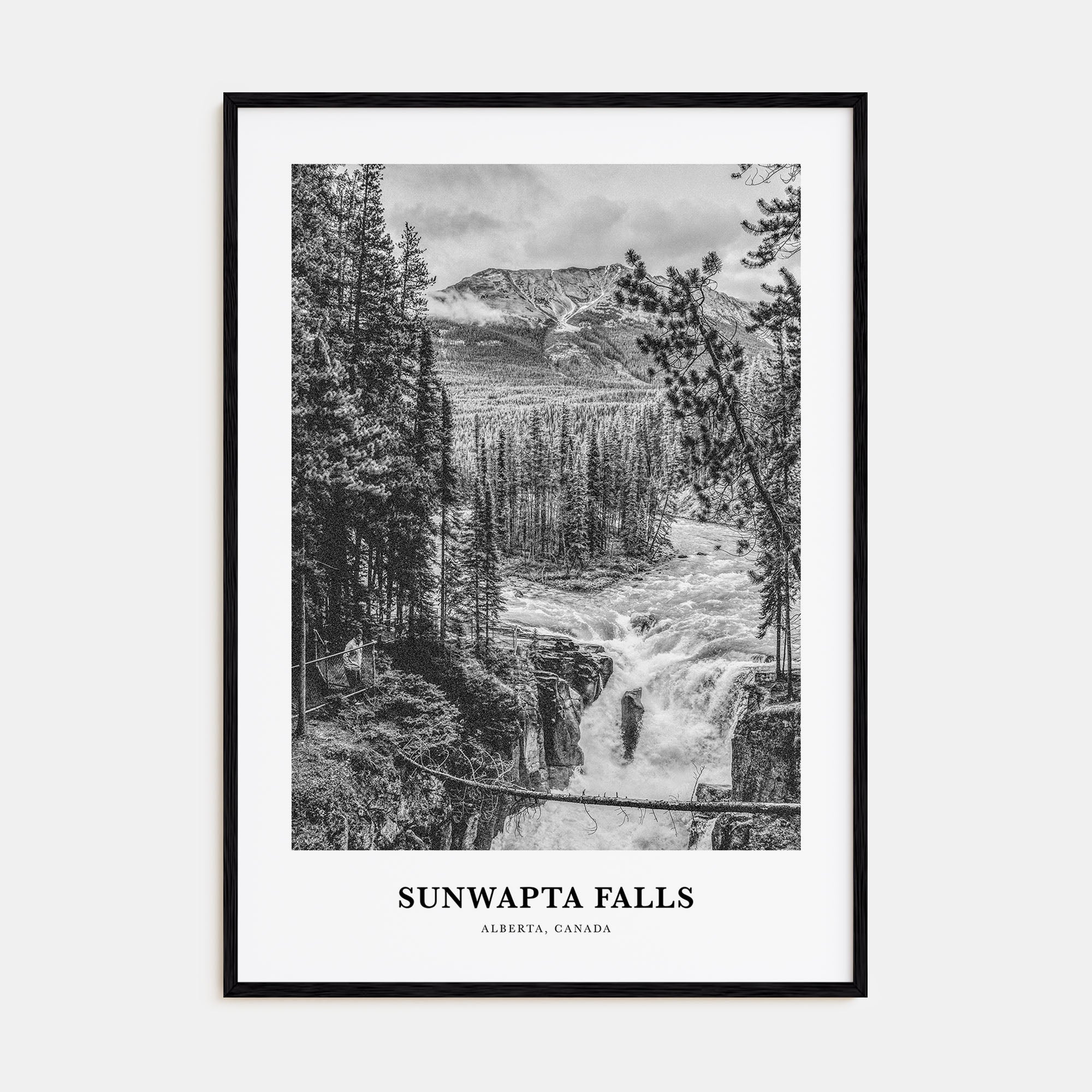 Sunwapta Falls Portrait B&W Poster