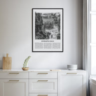 Sunwapta Falls Travel B&W Poster