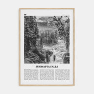 Sunwapta Falls Travel B&W Poster