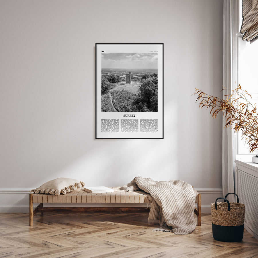 Surrey Travel B&W Poster