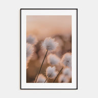 Swamp Flowers Photo Color Poster