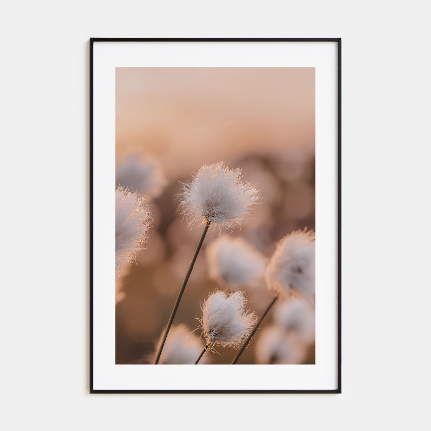 Swamp Flowers Photo Color Poster
