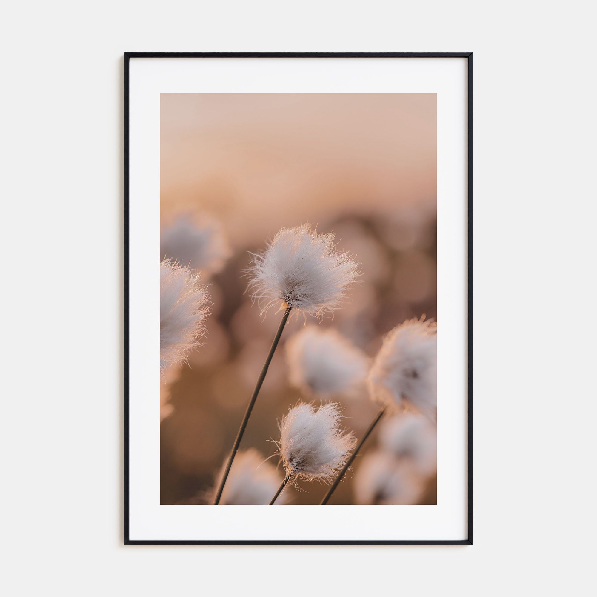Swamp Flowers Photo Color Poster
