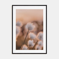 Swamp Flowers Photo Color Poster