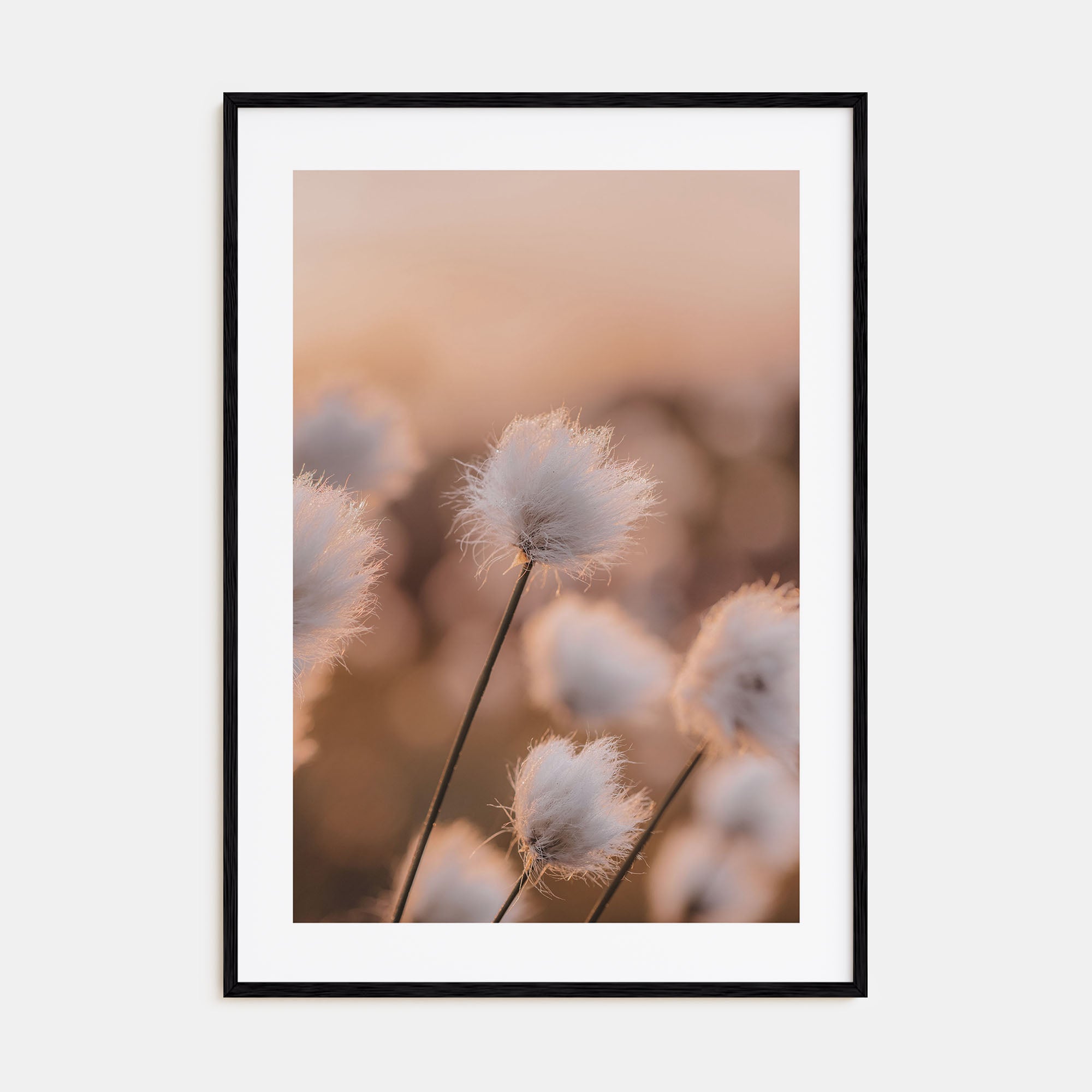Swamp Flowers Photo Color Poster