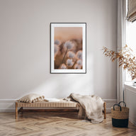 Swamp Flowers Photo Color Poster