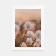 Swamp Flowers Photo Color Poster