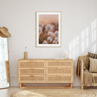 Swamp Flowers Photo Color Poster