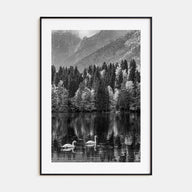 Swan Lake Photo B&W No 1 Poster