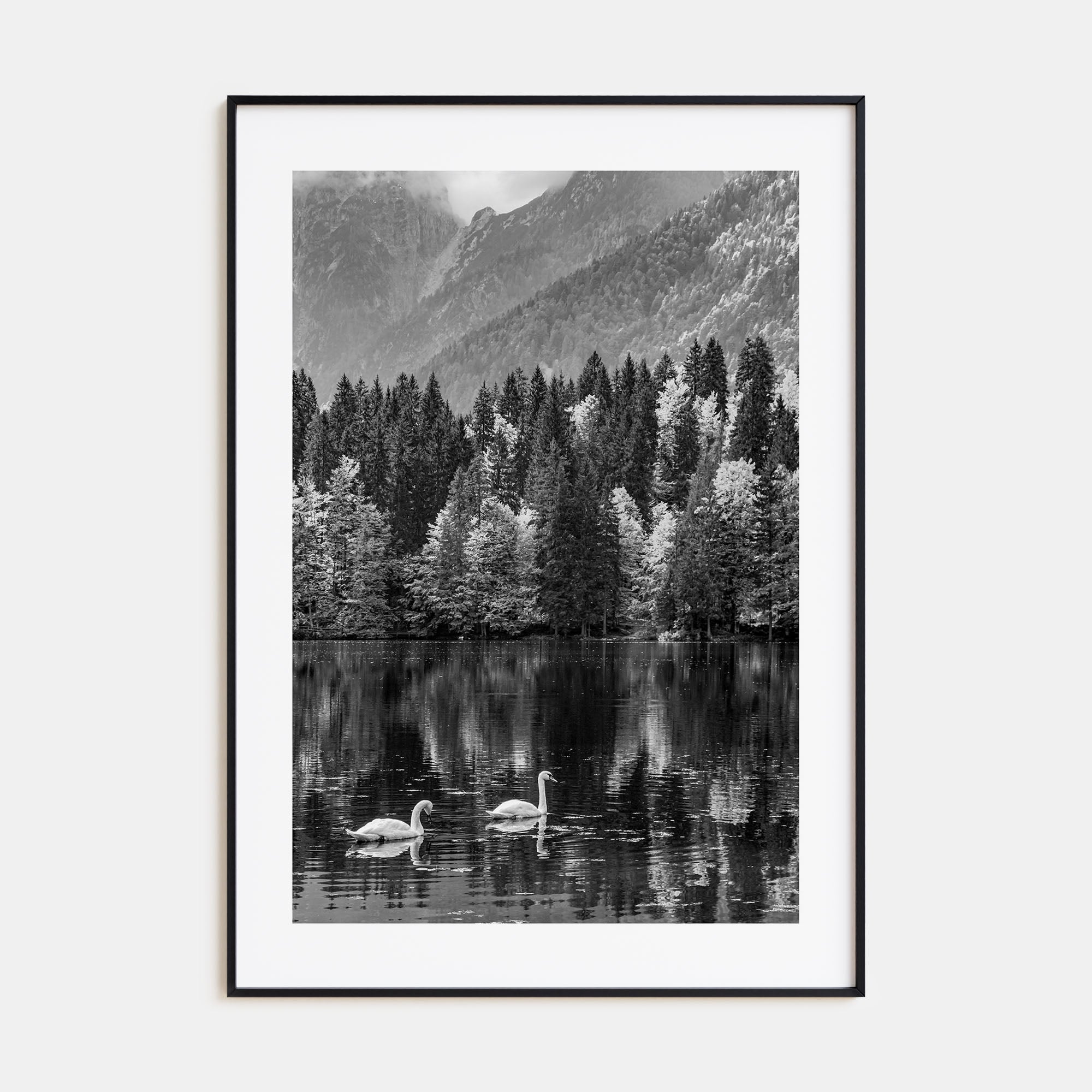 Swan Lake Photo B&W No 1 Poster