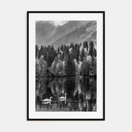 Swan Lake Photo B&W No 1 Poster