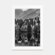 Swan Lake Photo B&W No 1 Poster