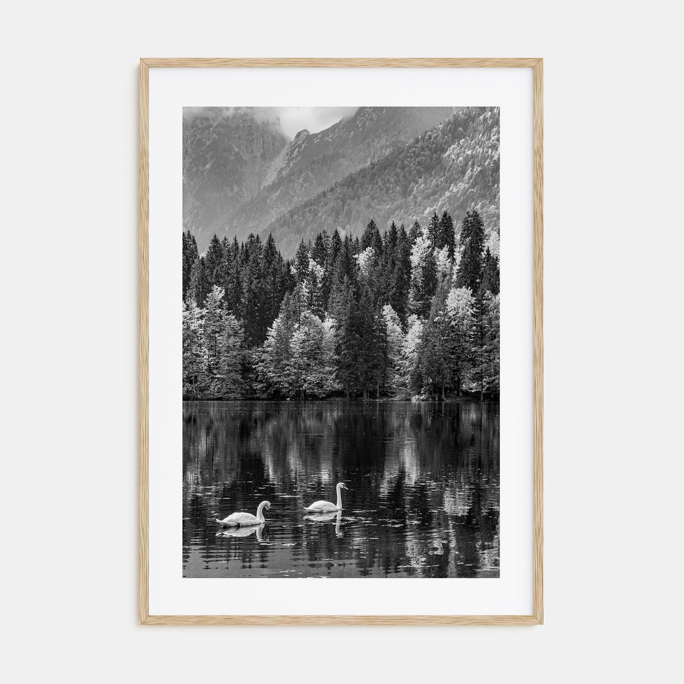 Swan Lake Photo B&W No 1 Poster