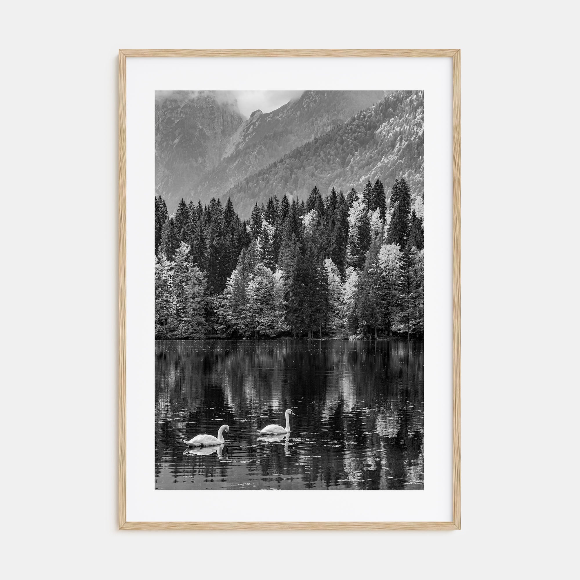 Swan Lake Photo B&W No 1 Poster