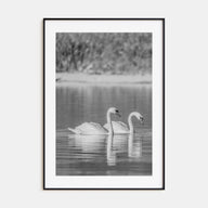 Swan Lake Photo B&W No 2 Poster