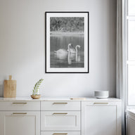 Swan Lake Photo B&W No 2 Poster
