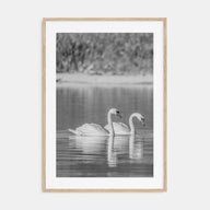 Swan Lake Photo B&W No 2 Poster