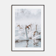 Swan Lake Photo Color Poster