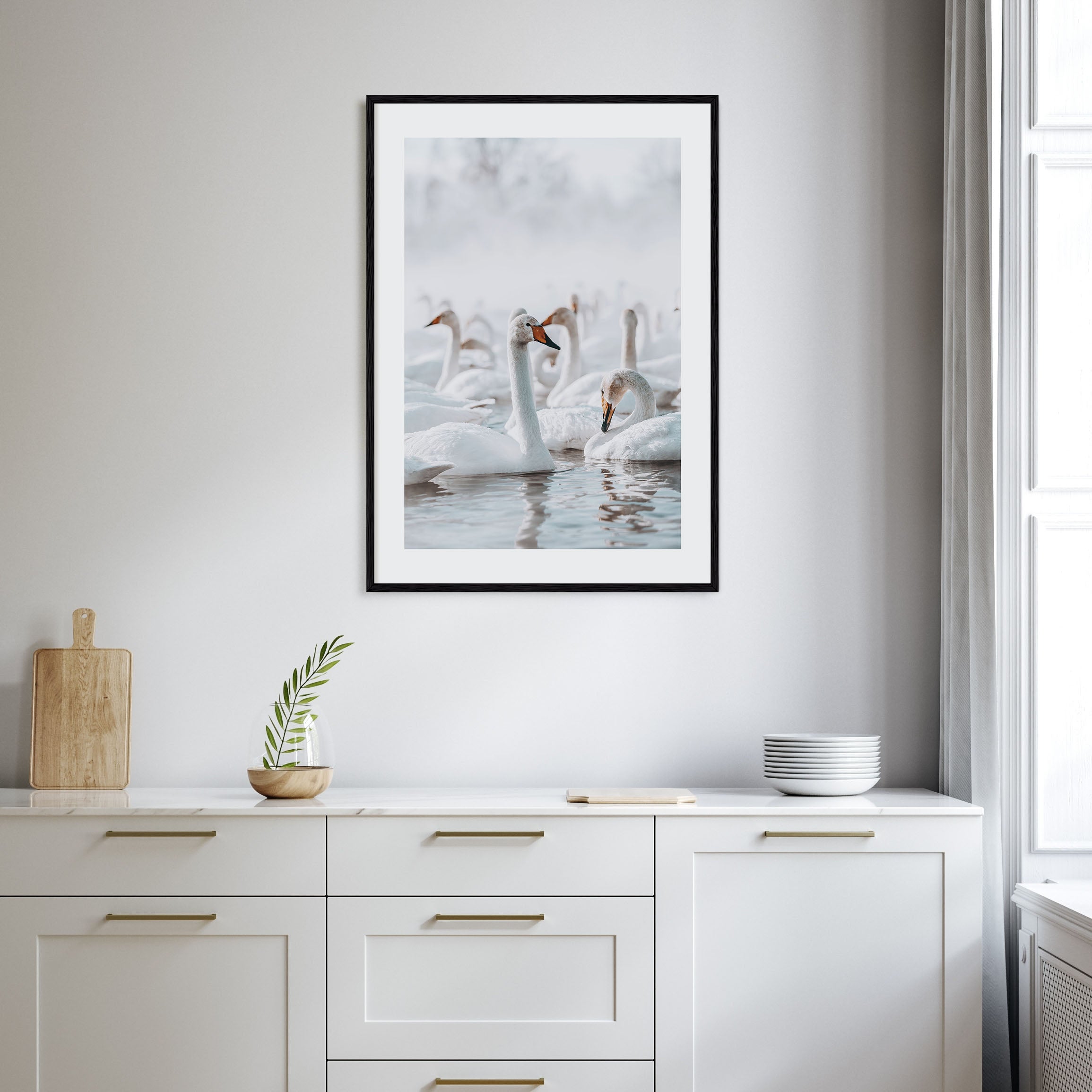 Swan Lake Photo Color Poster