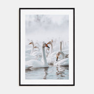 Swan Lake Photo Color Poster
