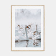 Swan Lake Photo Color Poster
