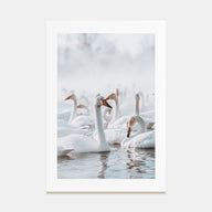 Swan Lake Photo Color Poster