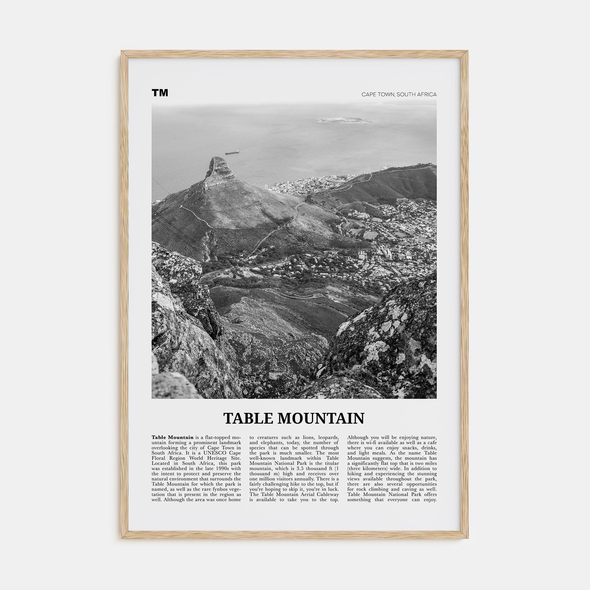 Table Mountain Travel B&W Poster