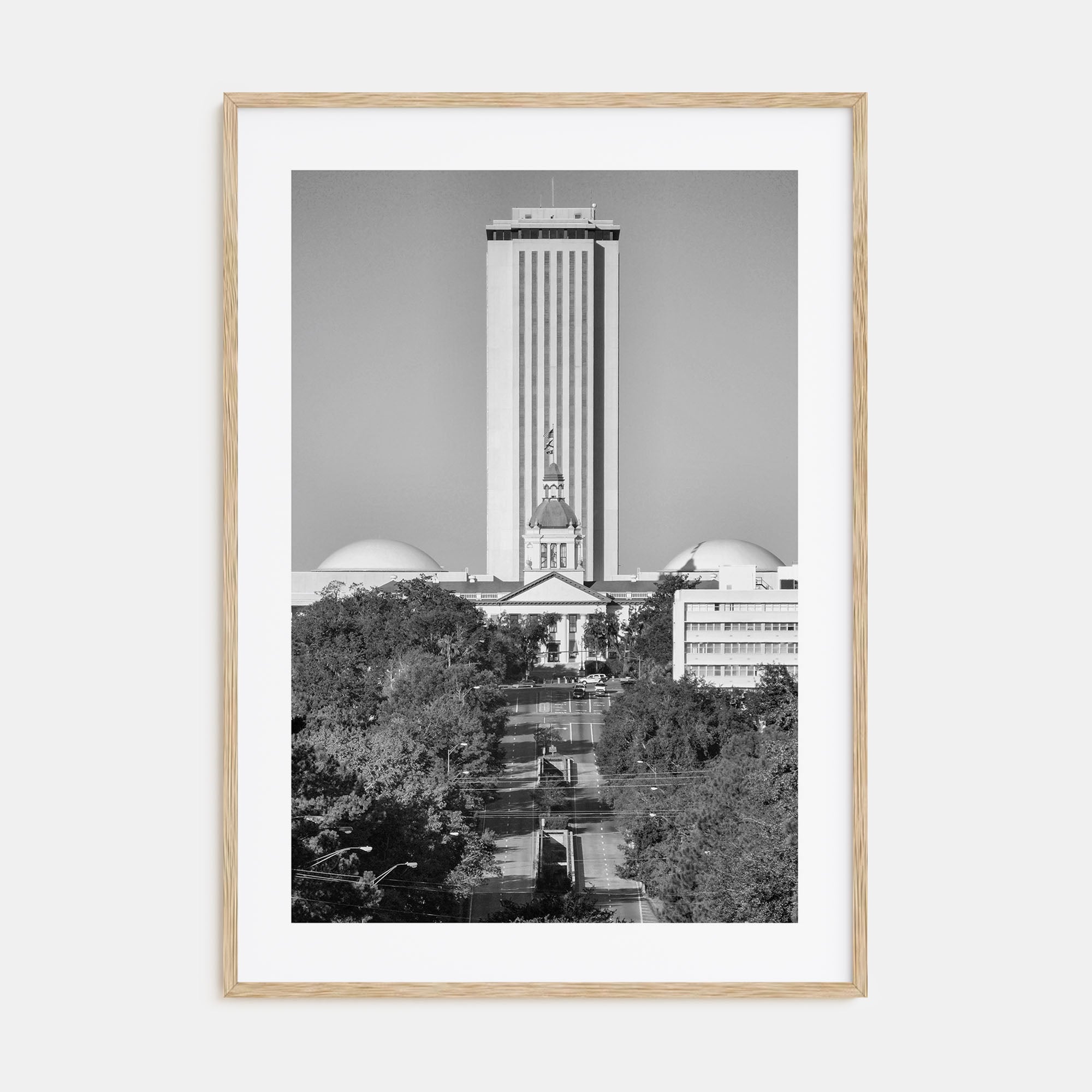 Tallahassee Photo B&W Poster
