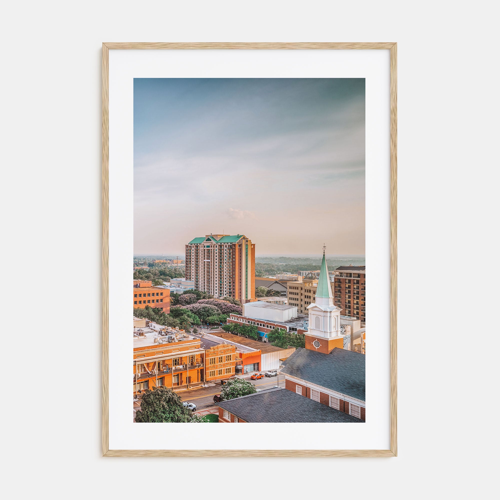 Tallahassee Photo Color Poster