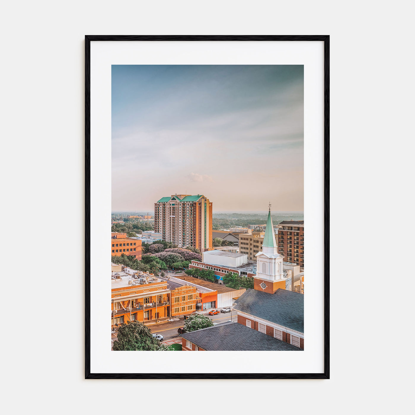 Tallahassee Photo Color Poster