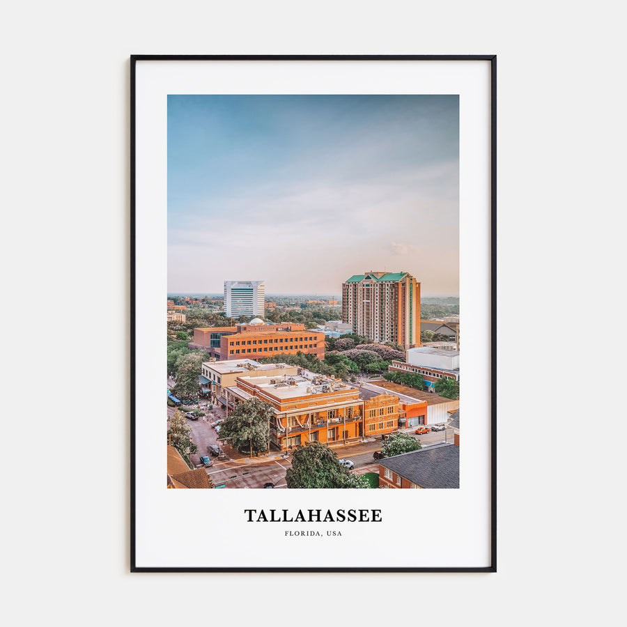 Tallahassee Portrait Color Poster