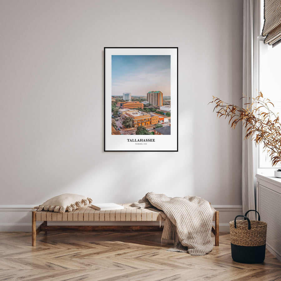 Tallahassee Portrait Color Poster