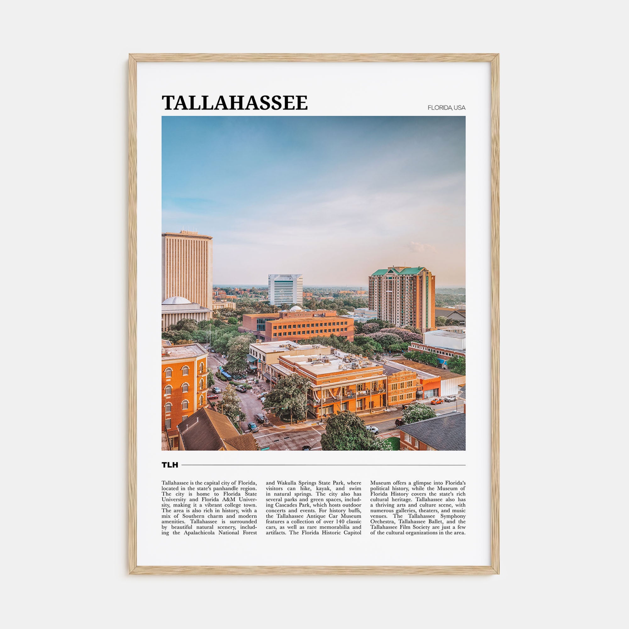 Tallahassee Travel Color Poster