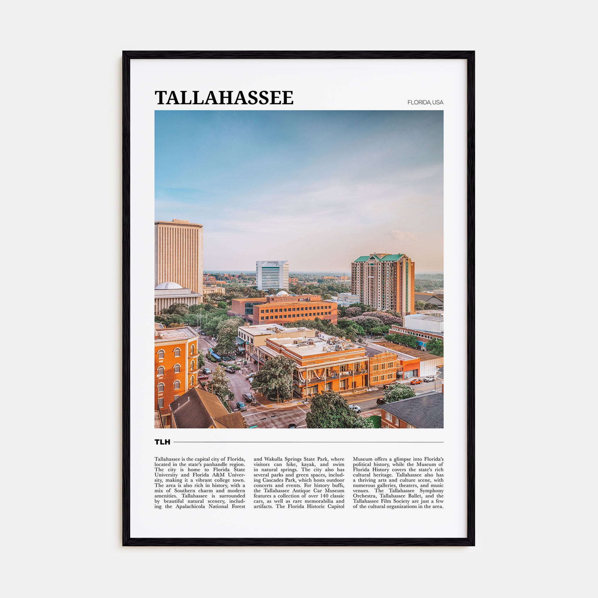 Tallahassee Travel Color Poster