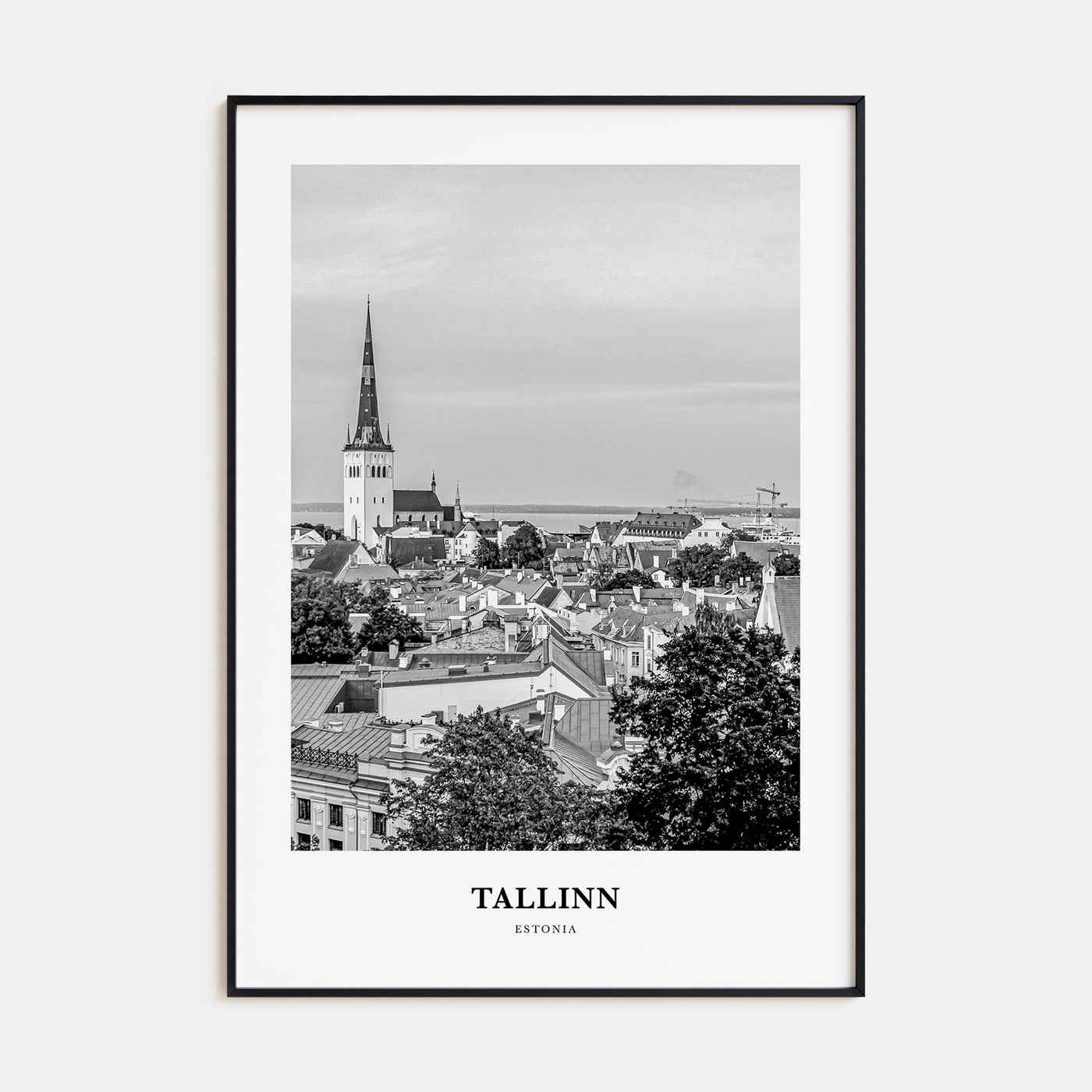 Tallinn Portrait B&W Poster
