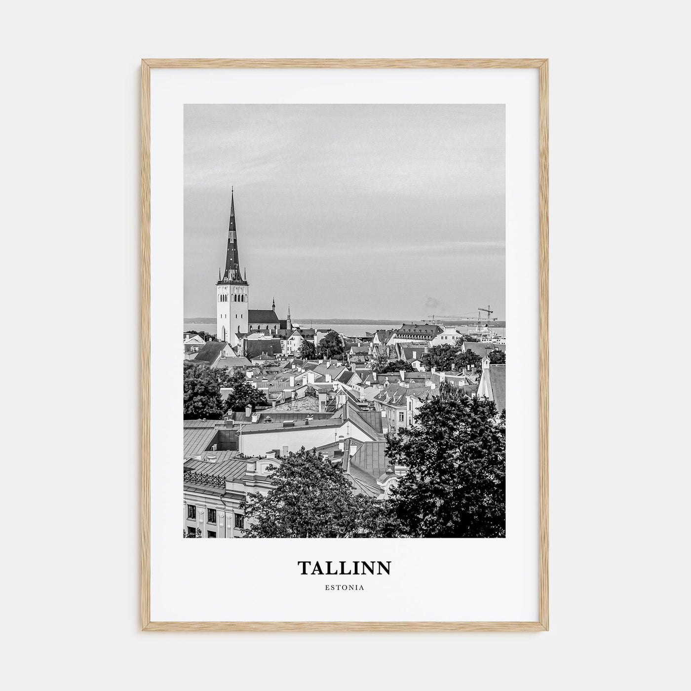 Tallinn Portrait B&W Poster