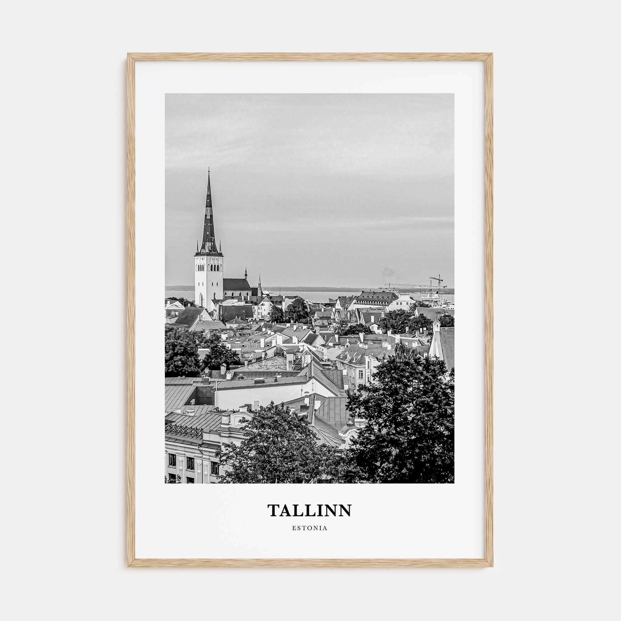 Tallinn Portrait B&W Poster
