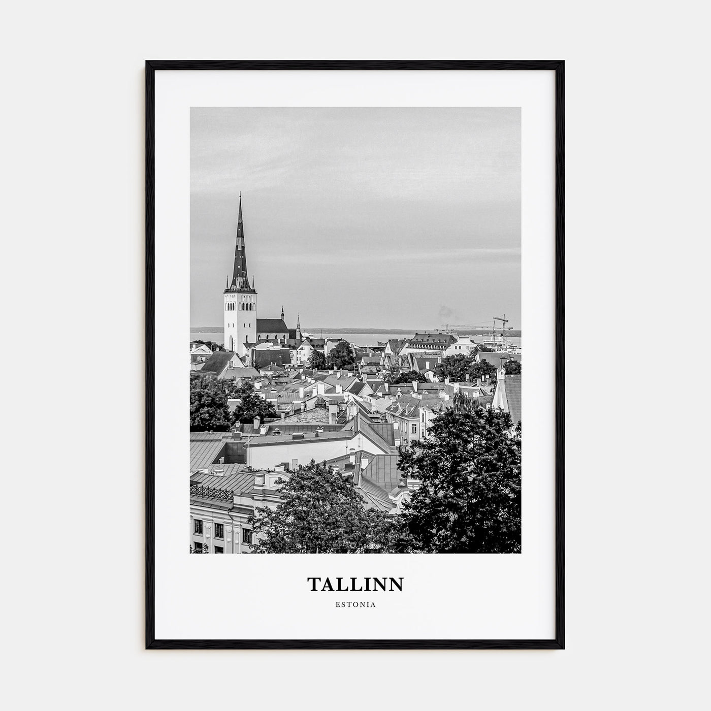 Tallinn Portrait B&W Poster