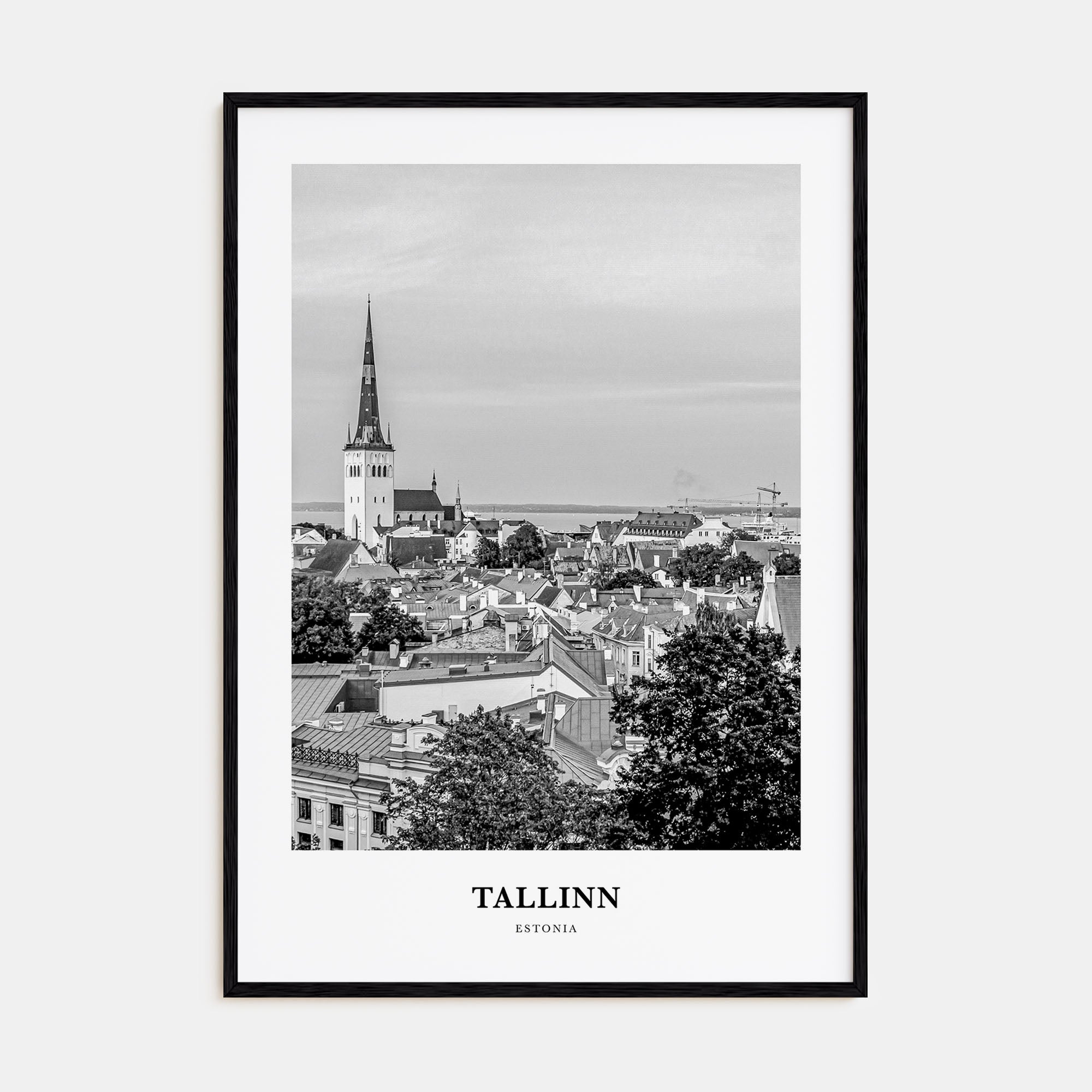 Tallinn Portrait B&W Poster