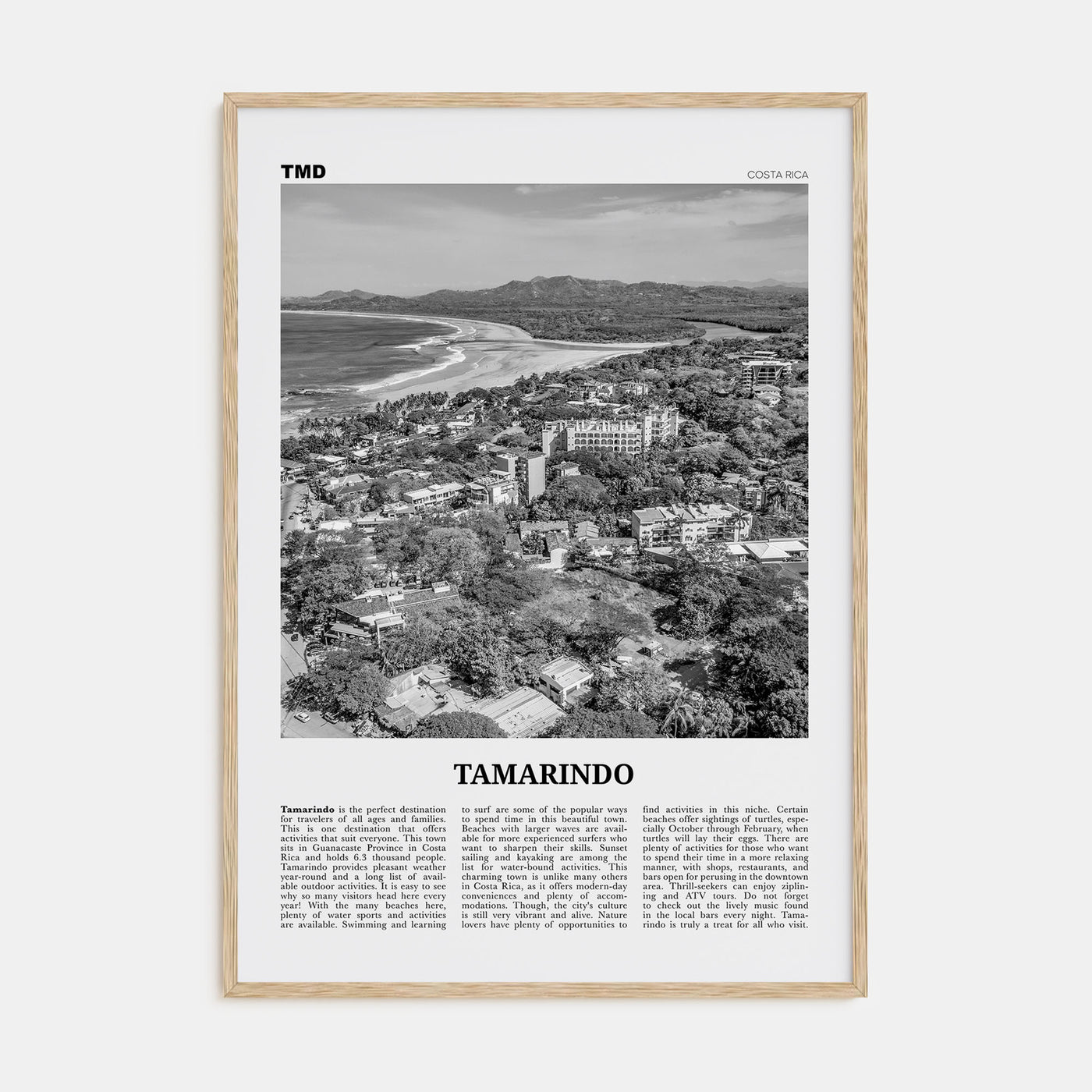 Tamarindo Travel B&W Poster