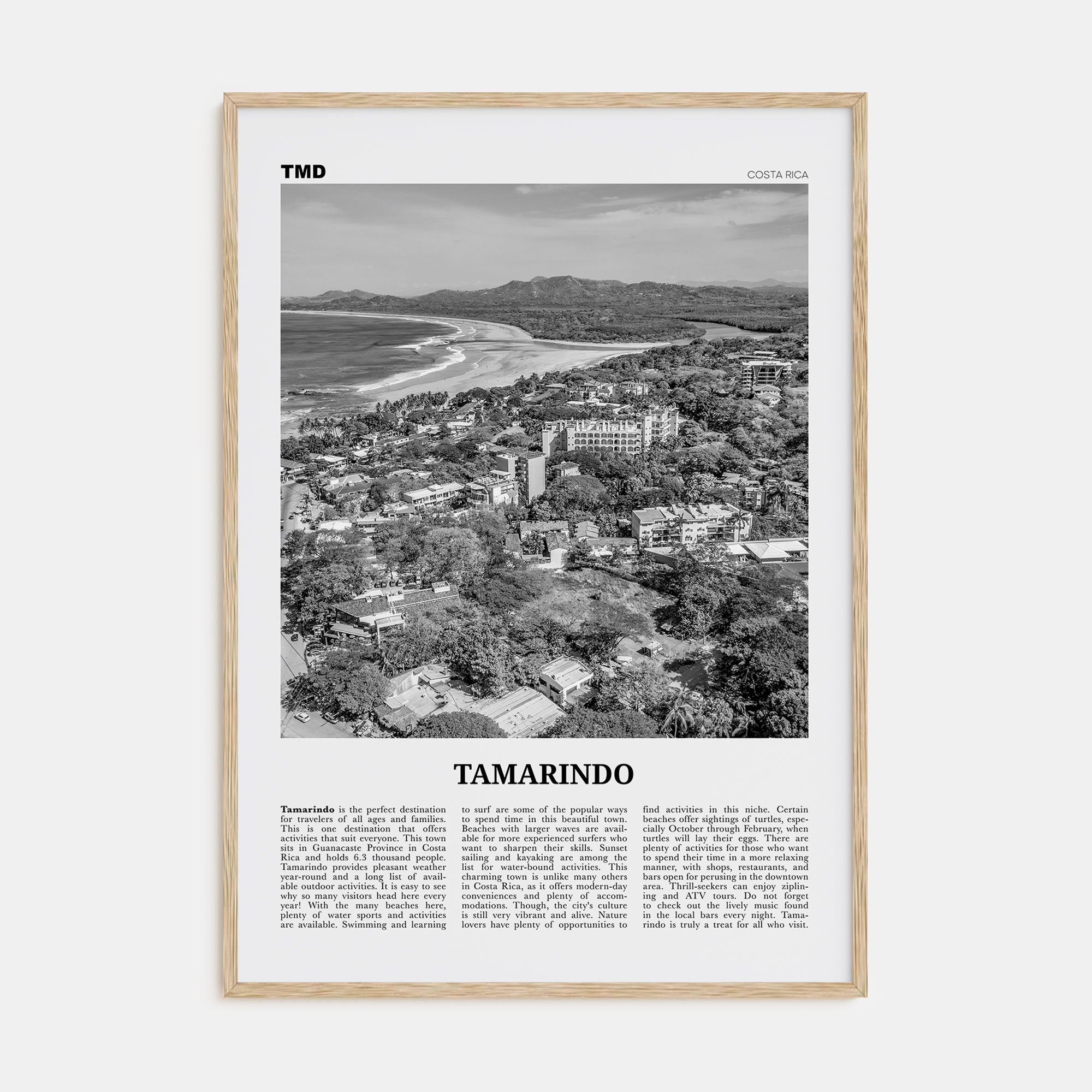 Tamarindo Travel B&W Poster