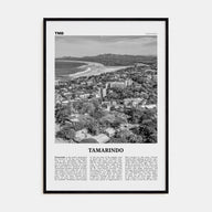 Tamarindo Travel B&W Poster