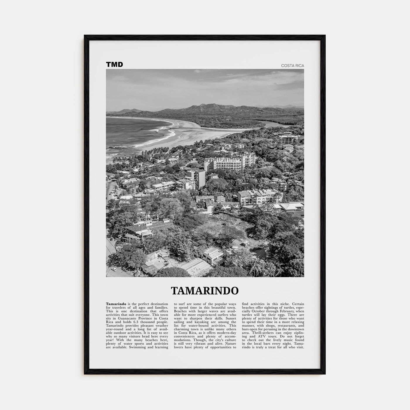 Tamarindo Travel B&W Poster