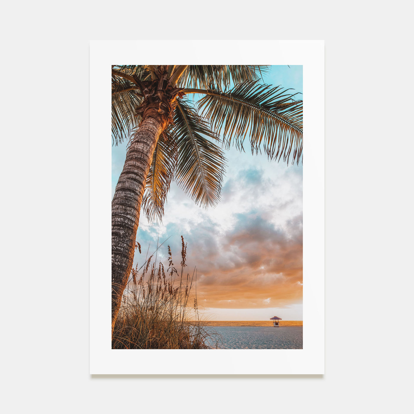 Tampa Bay Photo Color Poster