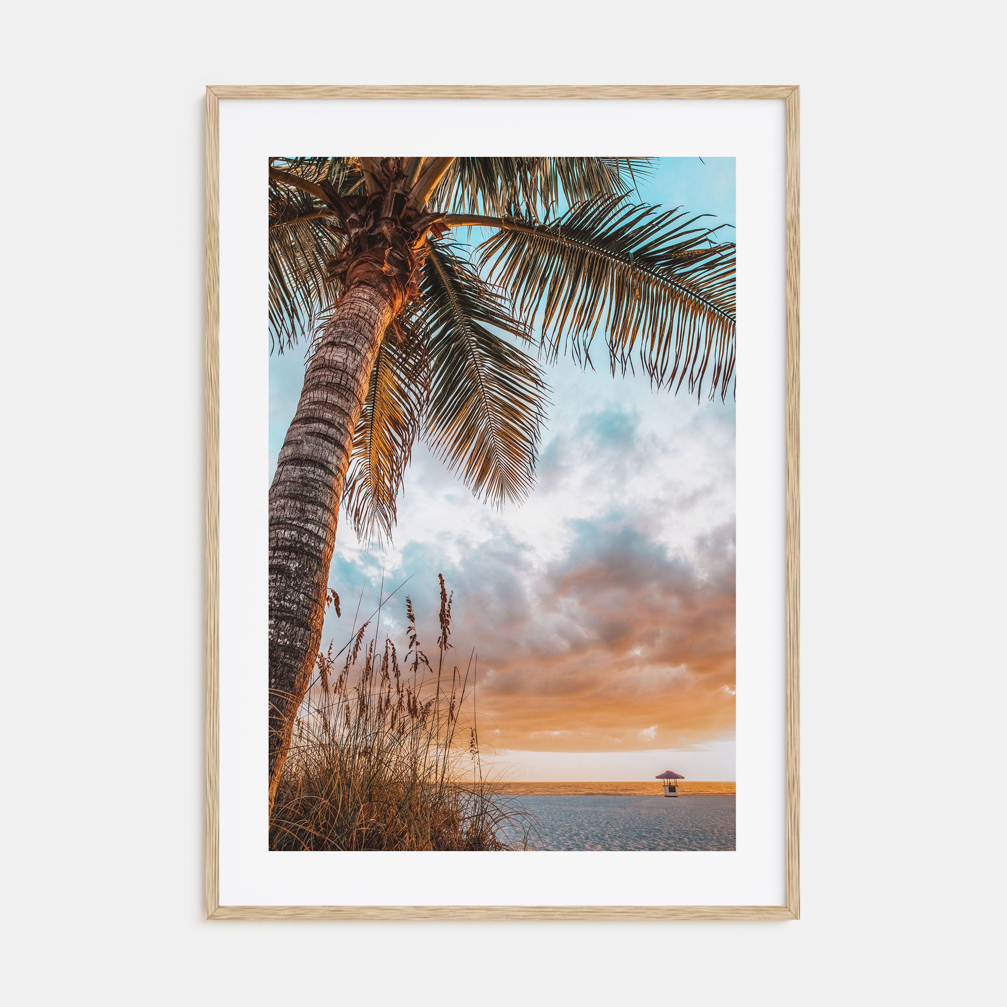 Tampa Bay Photo Color Poster