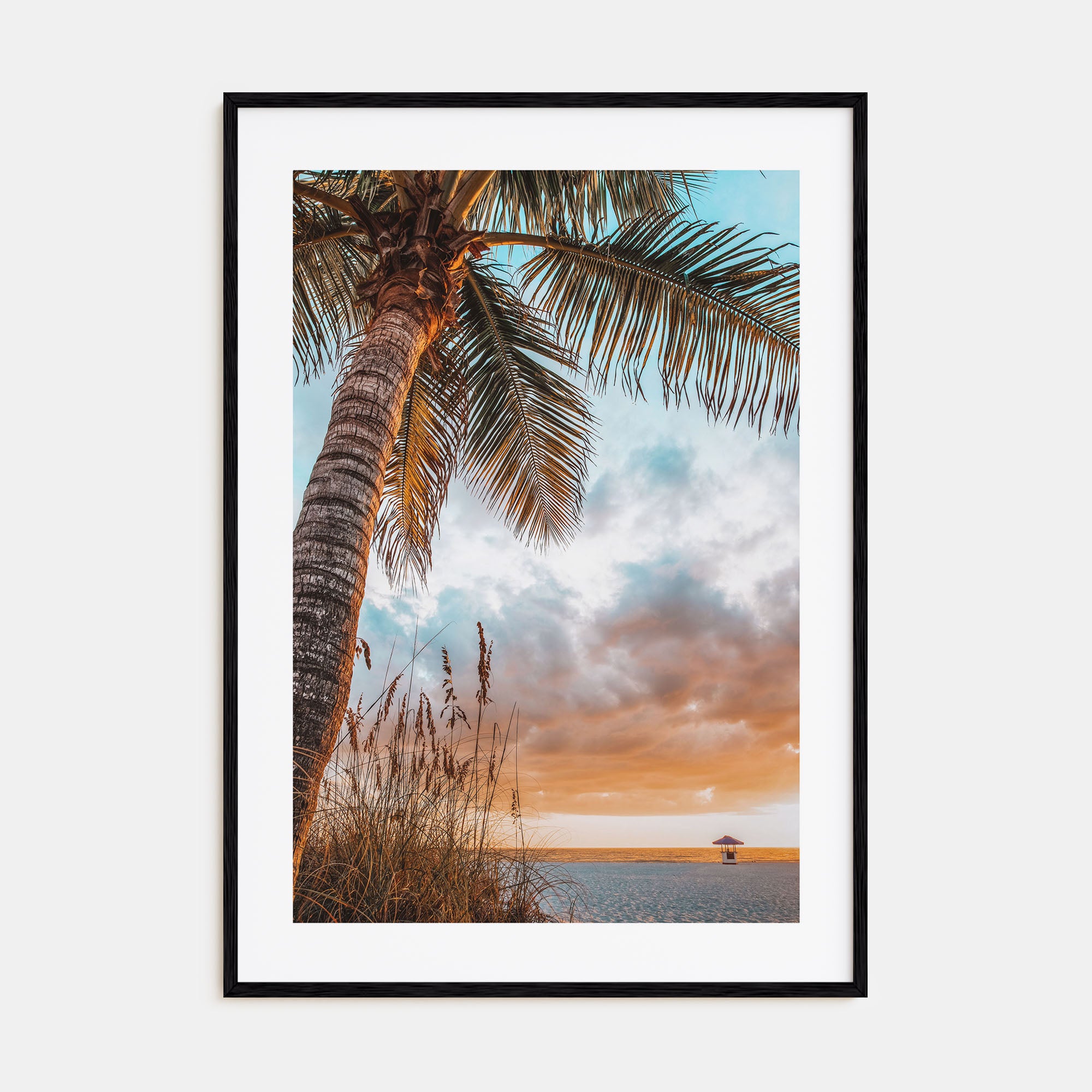 Tampa Bay Photo Color Poster