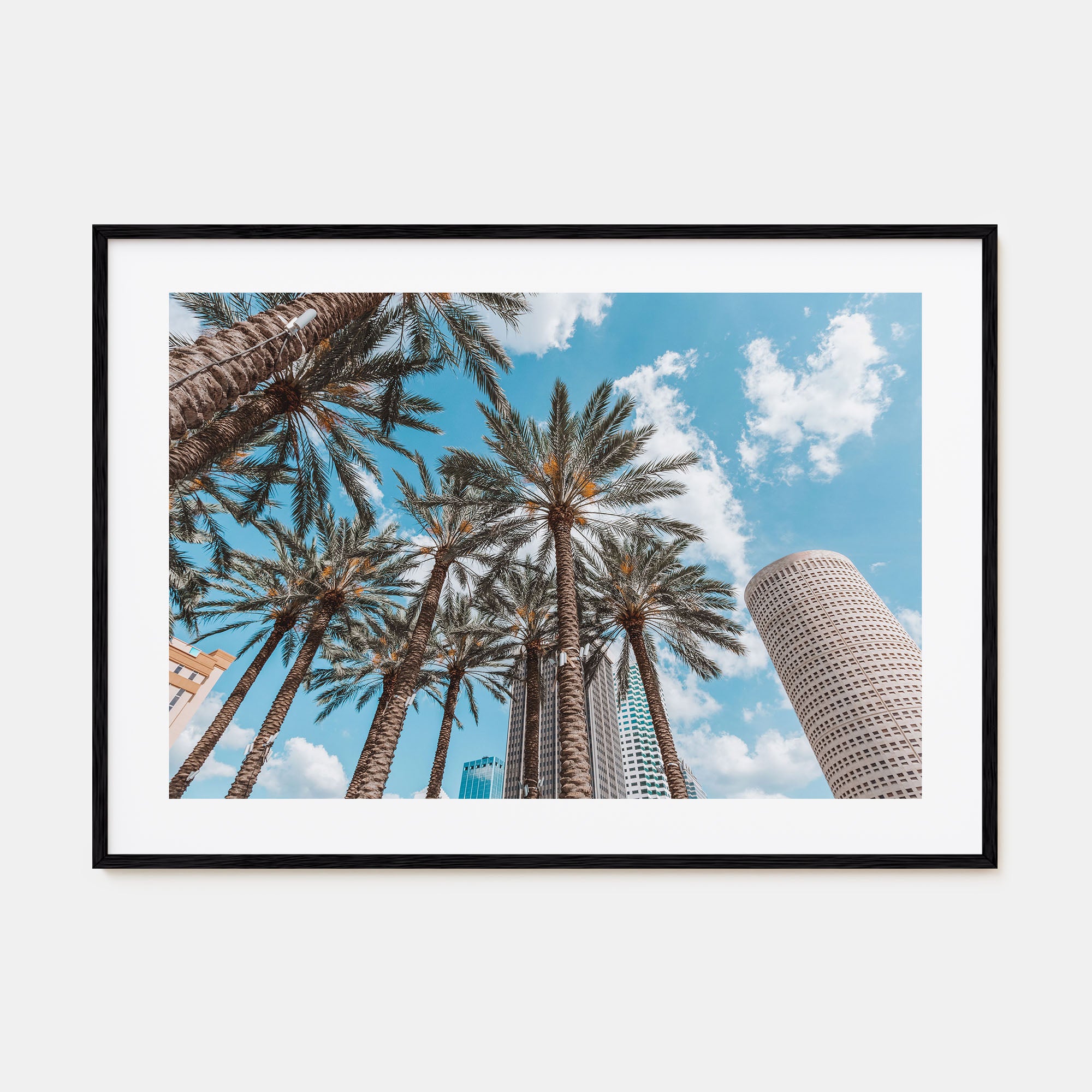 Tampa Landscape Color Poster