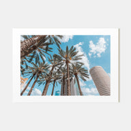 Tampa Landscape Color Poster
