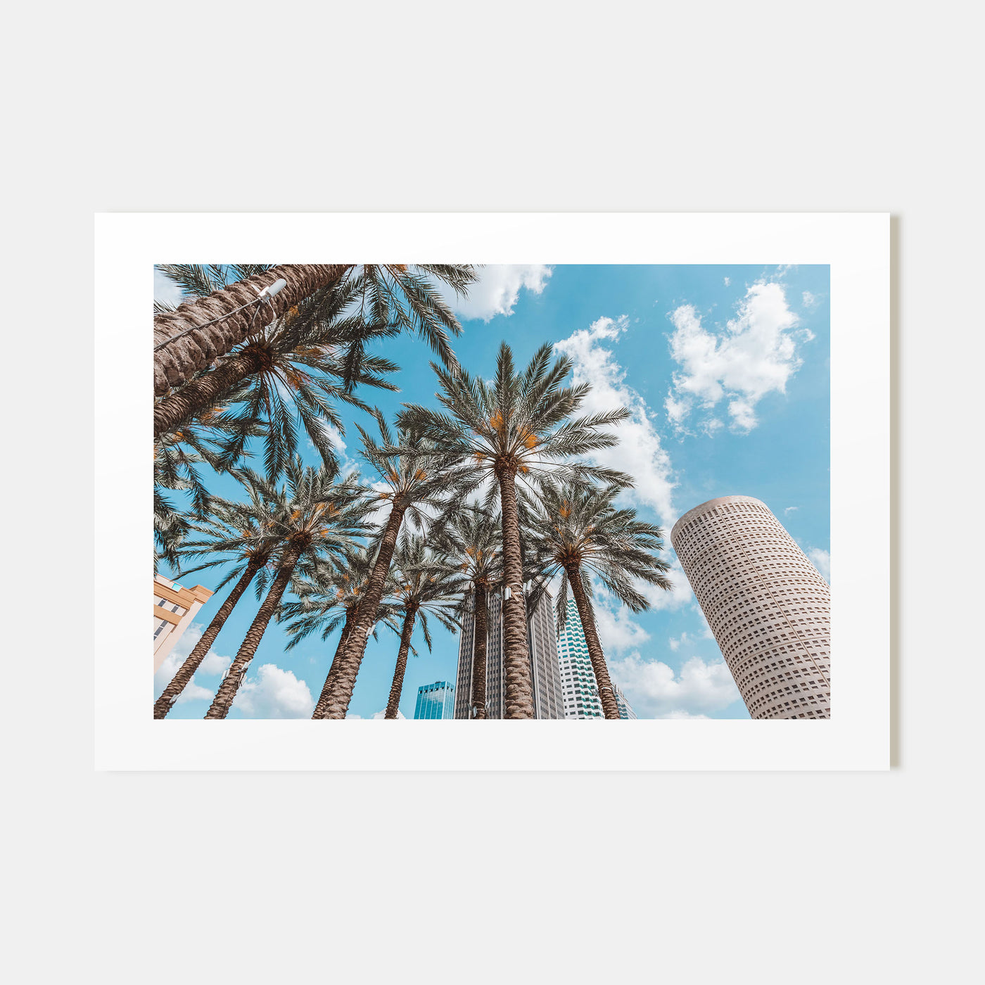 Tampa Landscape Color Poster