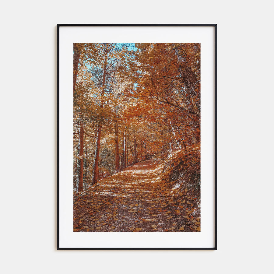 Tampa Photo Color No 3 Poster